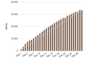 My NaNoWriMo 2013 stats