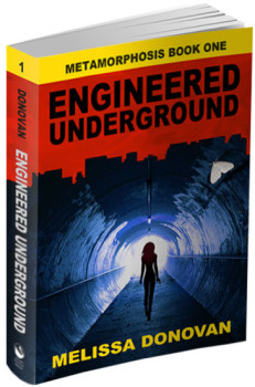 engineered underground